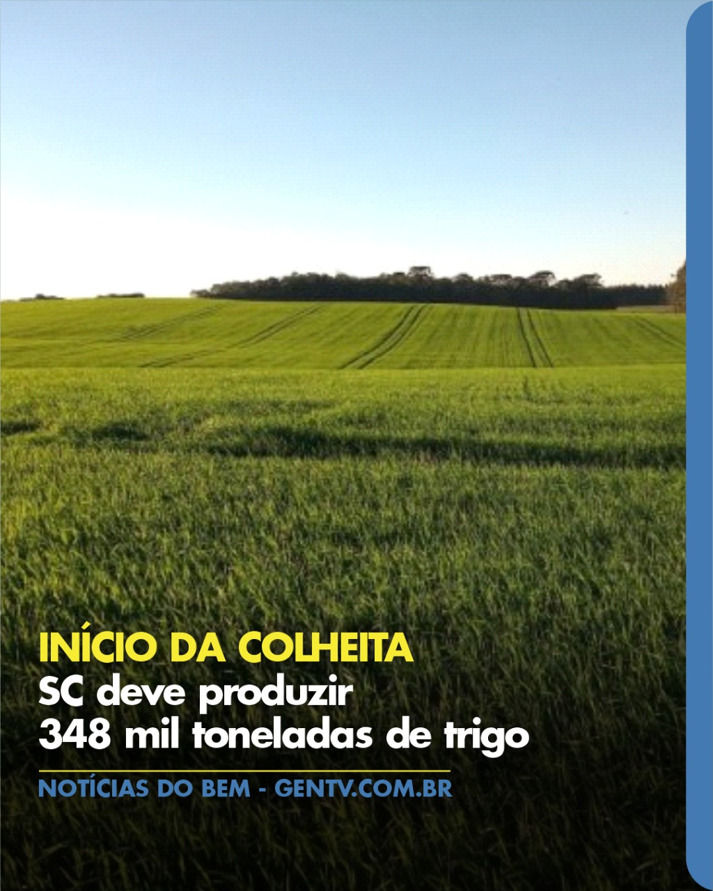 Santa Catarina dá início à colheita de cereais de inverno