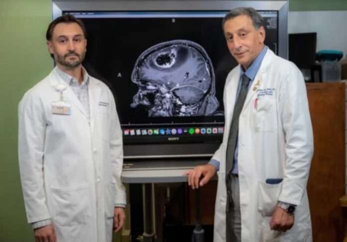 Imunologistas reduzem tumor cerebral agressivo com canabidiol